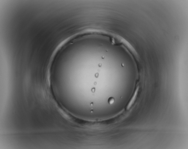 X0000114540791200910191341