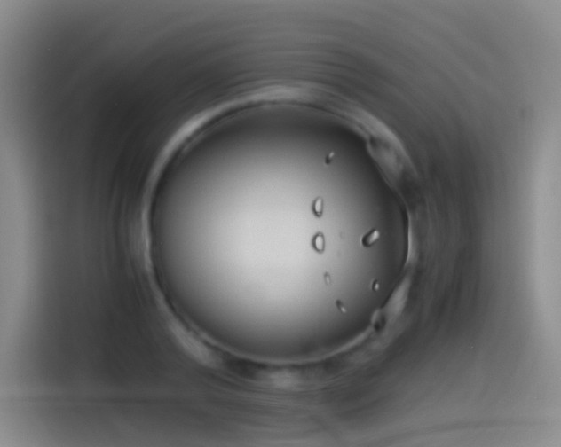 X0000114540792200910191341