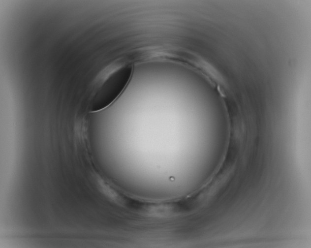 X0000114540793200910191341