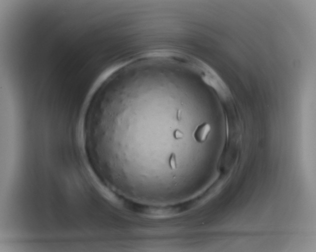 X0000114540795200910191341