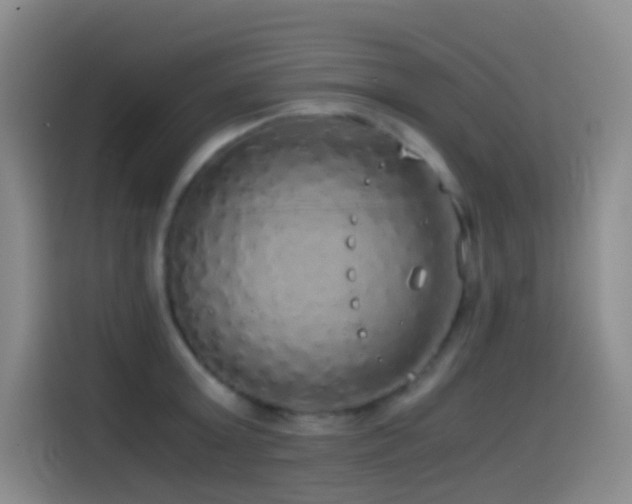 X0000114540803200910191341