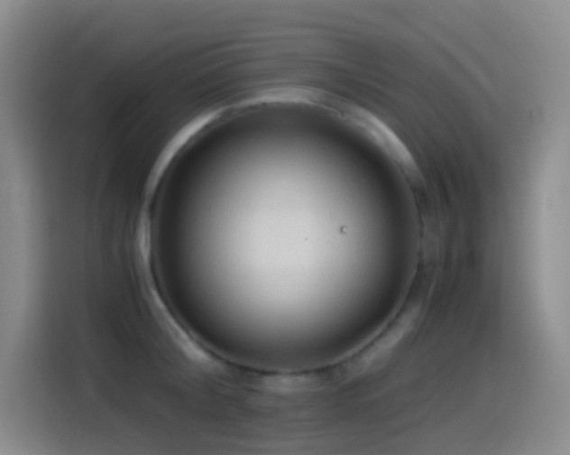 X0000114540804200910191341