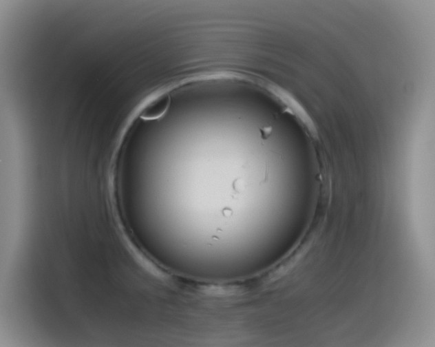 X0000114540805200910191341