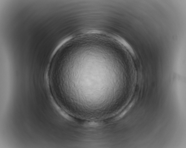 X0000114540806200910191340