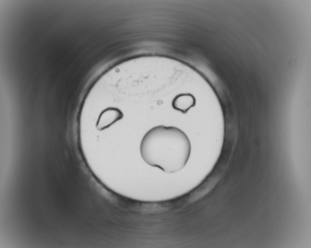 X0000114540807200910191340