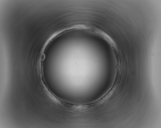 X0000114540808200910191340