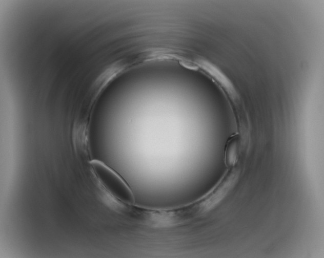 X0000114540809200910191340