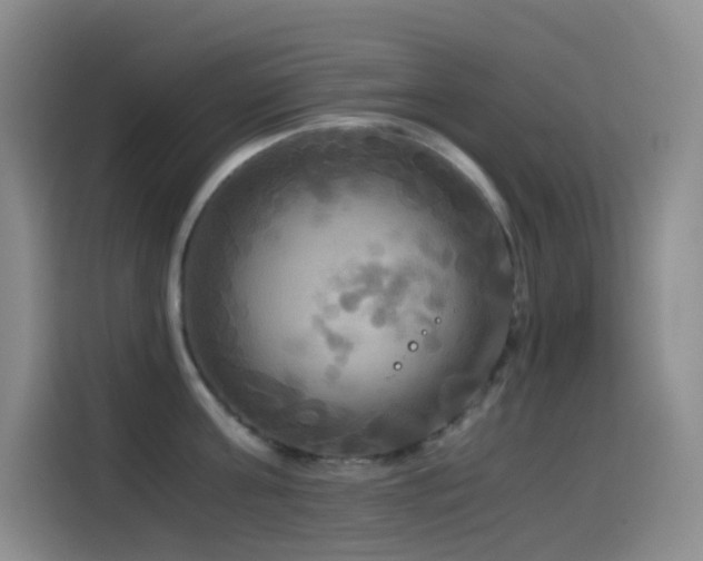 X0000114540811200910191340