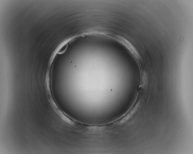 X0000114540812200910191340