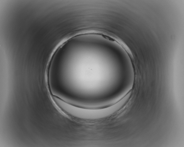 X0000114540813200910191340