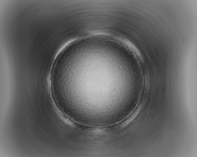 X0000114540814200910191340