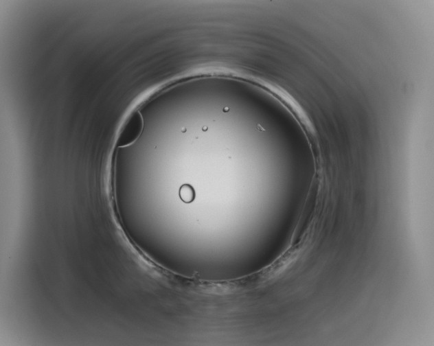 X0000114540815200910191340