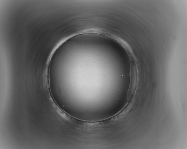 X0000114540816200910191340