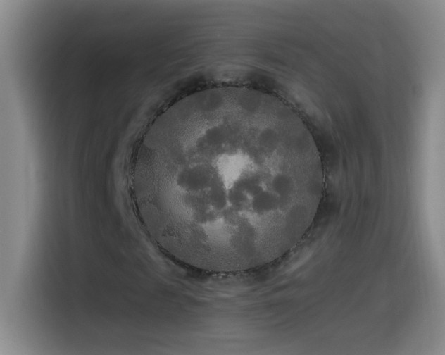 X0000114540817200910191340