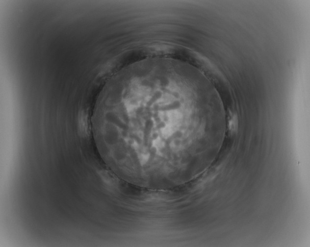 X0000114540819200910191340