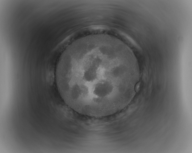 X0000114540821200910191340