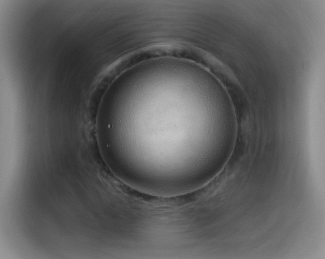 X0000114540822200910191340