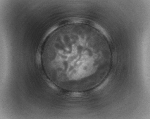 X0000114540827200910191340