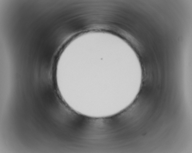 X0000114540828200910191340