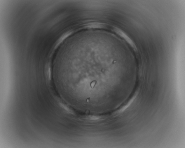 X0000114540829200910191340