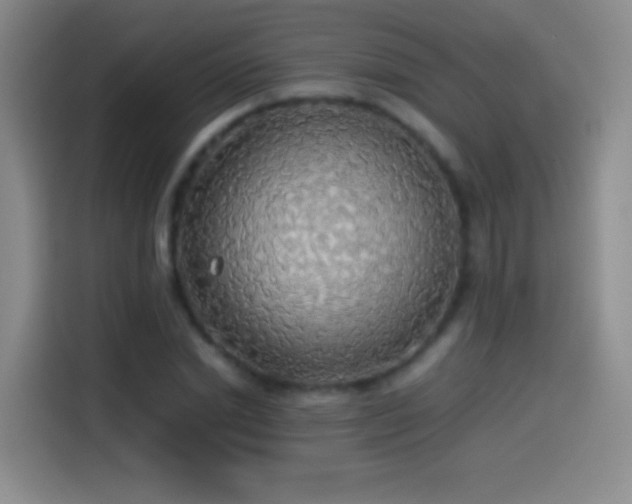 X0000114540830200910191340