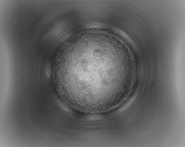 X0000114540833200910191340