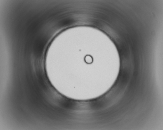 X0000114540836200910191340