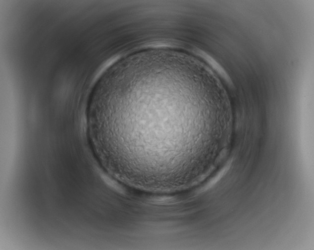 X0000114540837200910191340