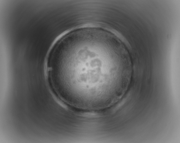 X0000114540838200910191340