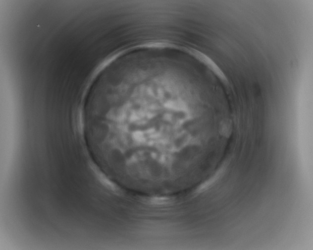 X0000114540839200910191340