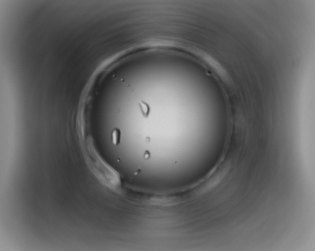 X0000114540840200910191340