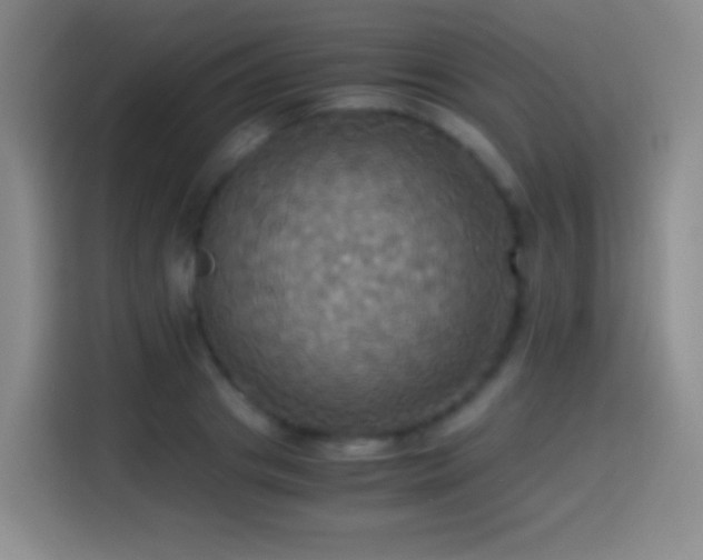 X0000114540841200910191340