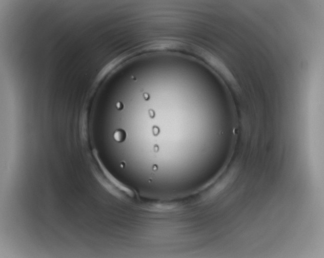 X0000114540842200910191340