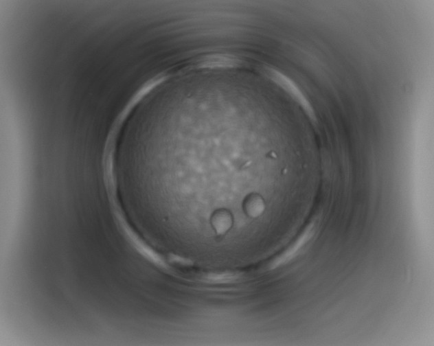 X0000114540843200910191340