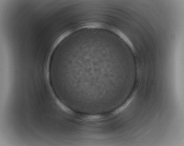 X0000114540845200910191340