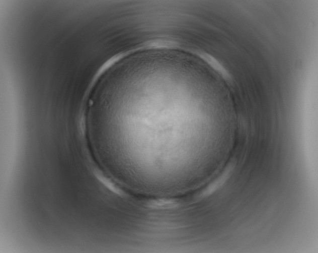 X0000114540846200910191340