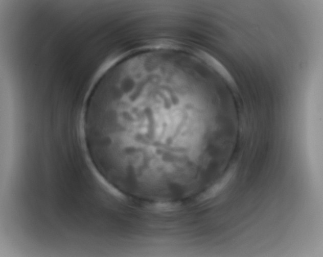 X0000114540847200910191340