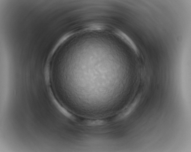 X0000114540851200910191340