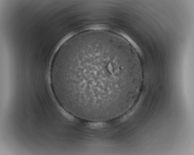 X0000114540853200910191340