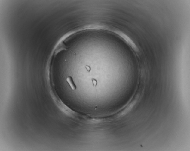 X0000114540854200910191340