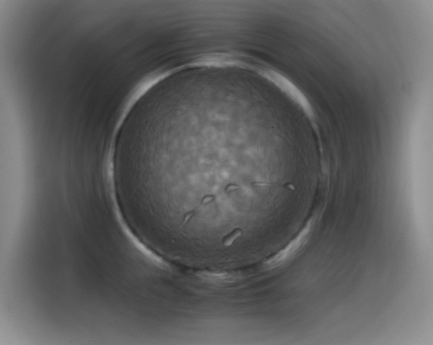 X0000114540855200910191340