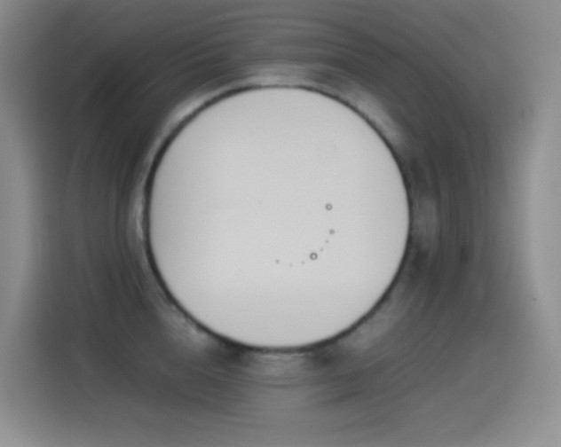 X0000114540856200910191340