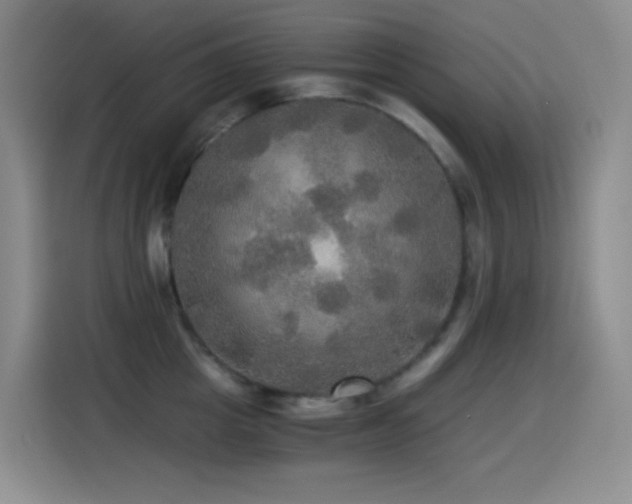 X0000114540857200910191340