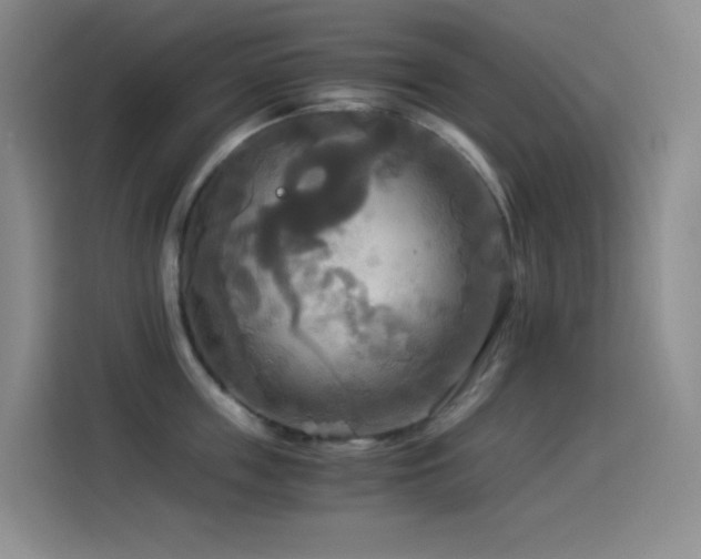 X0000114540859200910191340