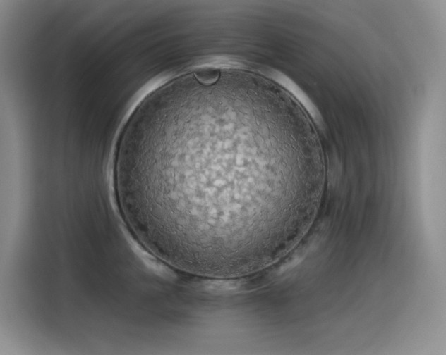 X0000114540861200910191340