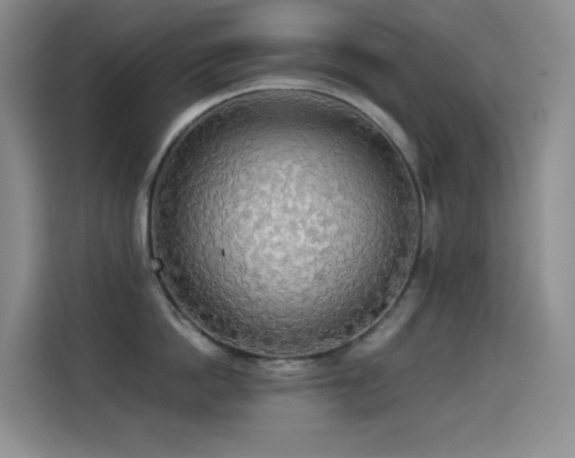 X0000114540862200910191340