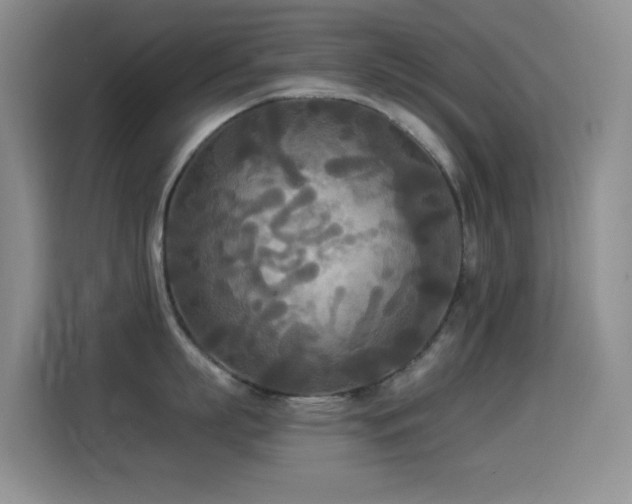 X0000114540863200910191340