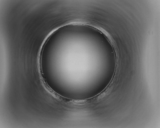 X0000114540864200910191340