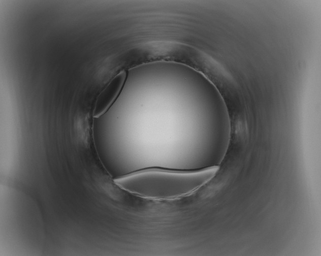 X0000114540868200910191340