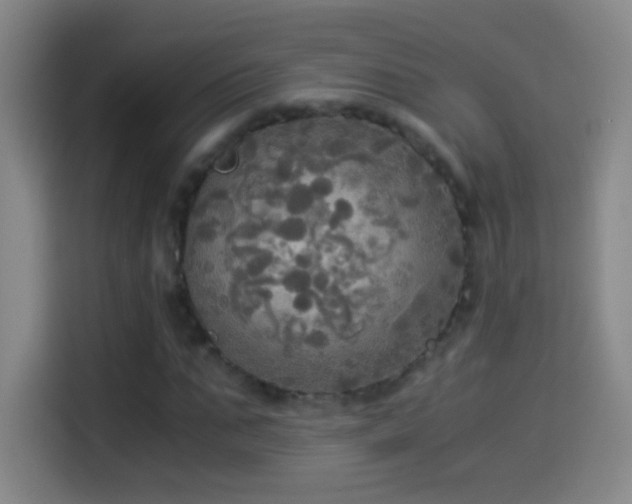 X0000114540871200910191340